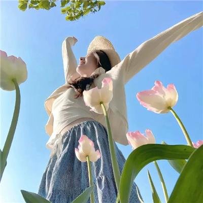 克虏伯与克劳斯